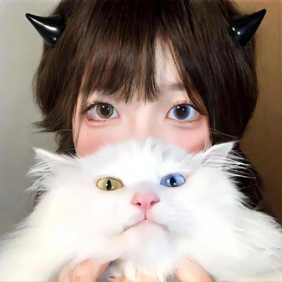 混沌行走