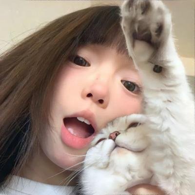 凯西回家